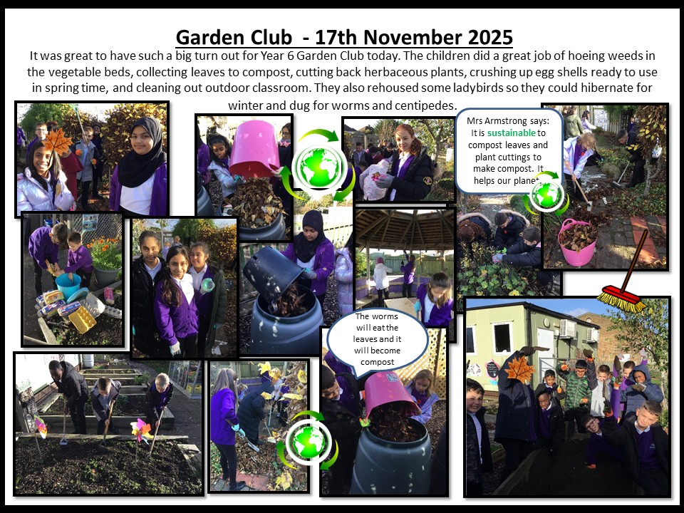 17th November 2025 Year 6