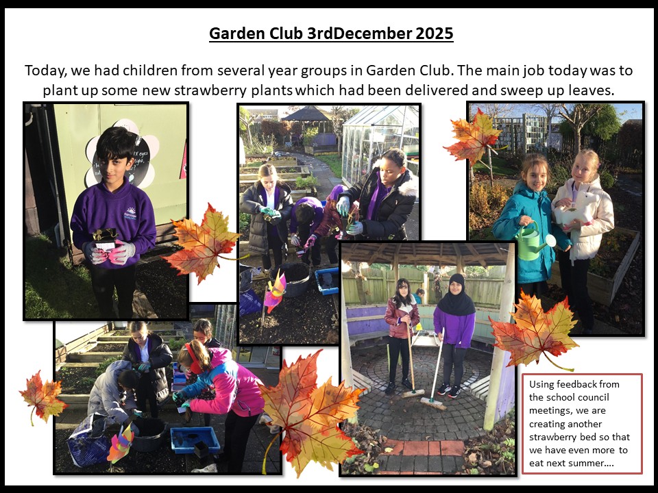 Mixed group 3rd December 2025