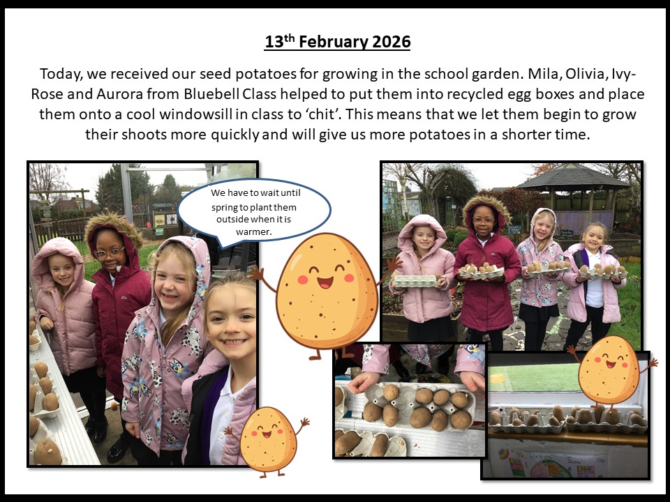 13th February 2026 Garden Club