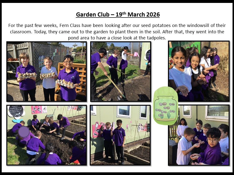 19th March 2026 Fern Class