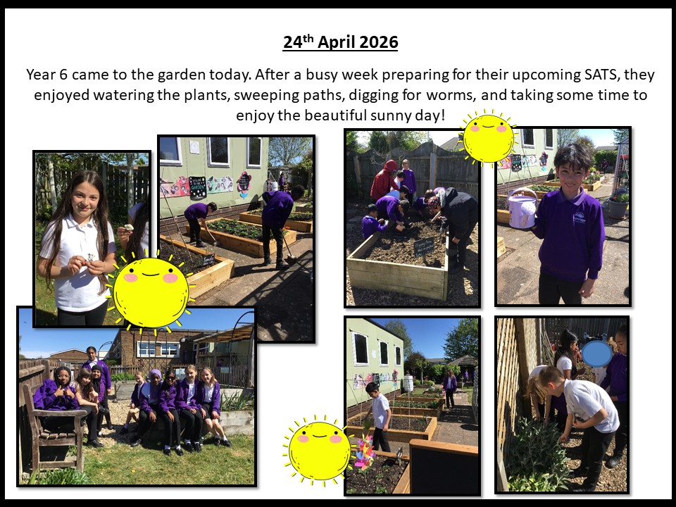 24th April 2026 Year 6