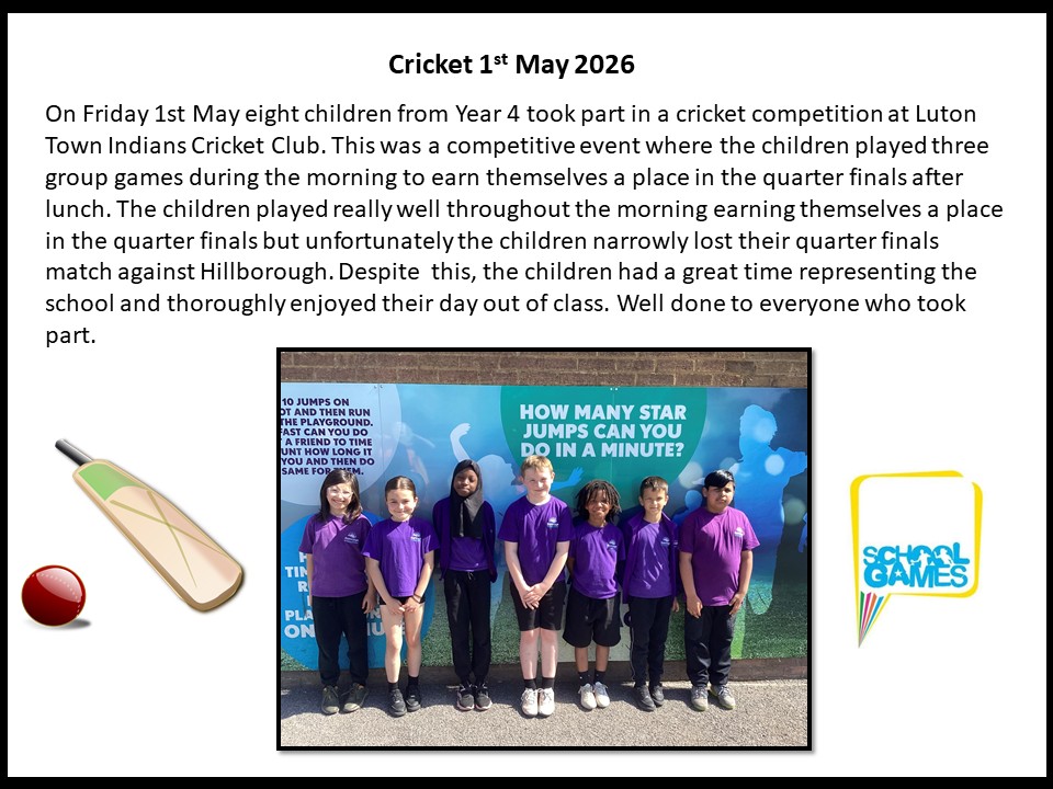 Year 4 Cricket