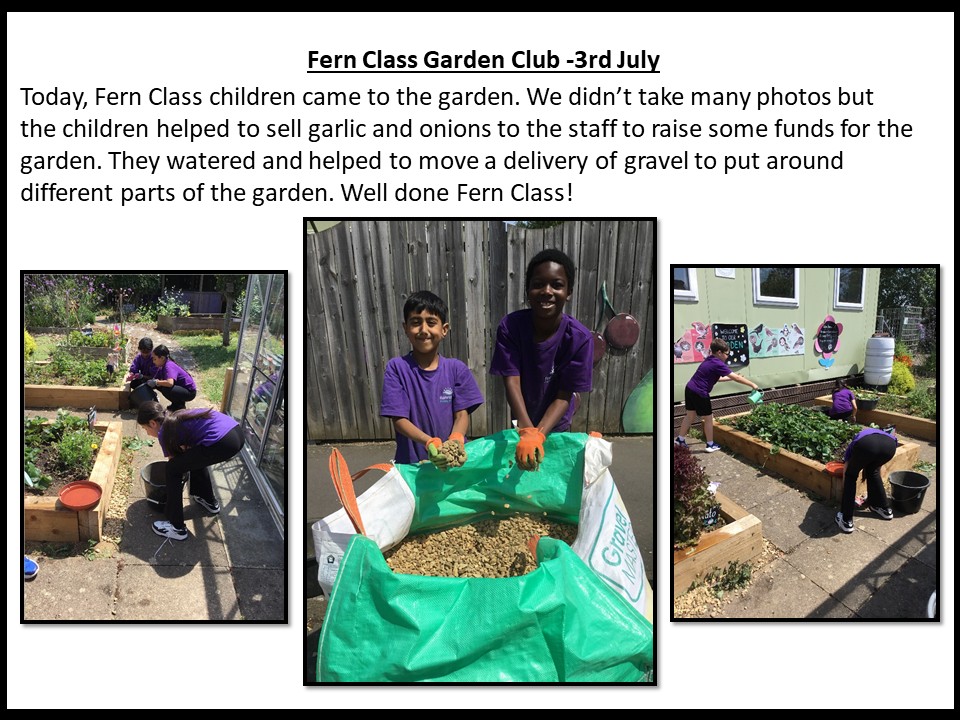 Fern Class 3rd July 2026