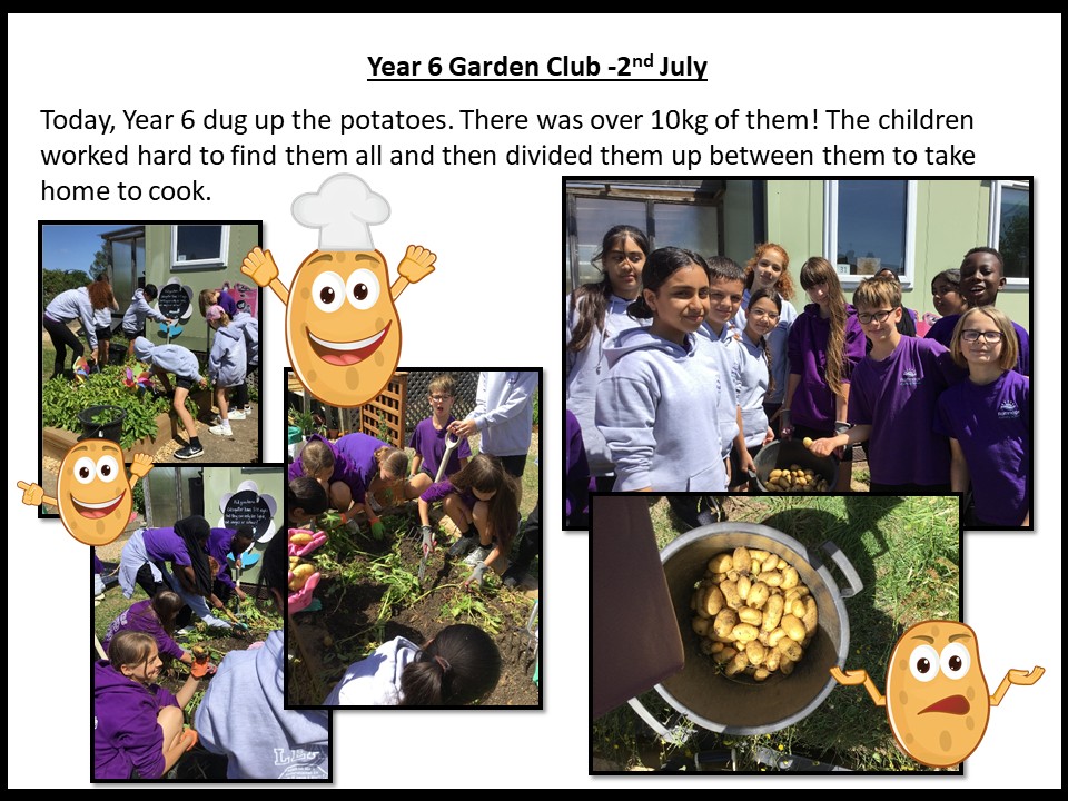Year 6 2nd July 2026